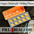 Viagra Sildénafil 100Mg Pfizer new05